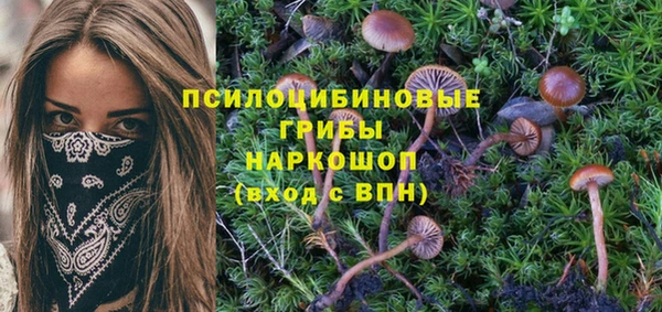 MDMA Алексеевка