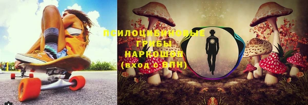 прущие крисы Алзамай