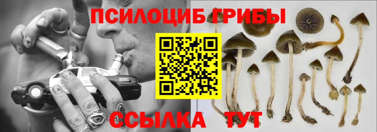 Псилоцибиновые грибы MAGIC MUSHROOMS  Псилоцибиновые грибы мухоморы  Павлово  где купить   Вход с VPN 