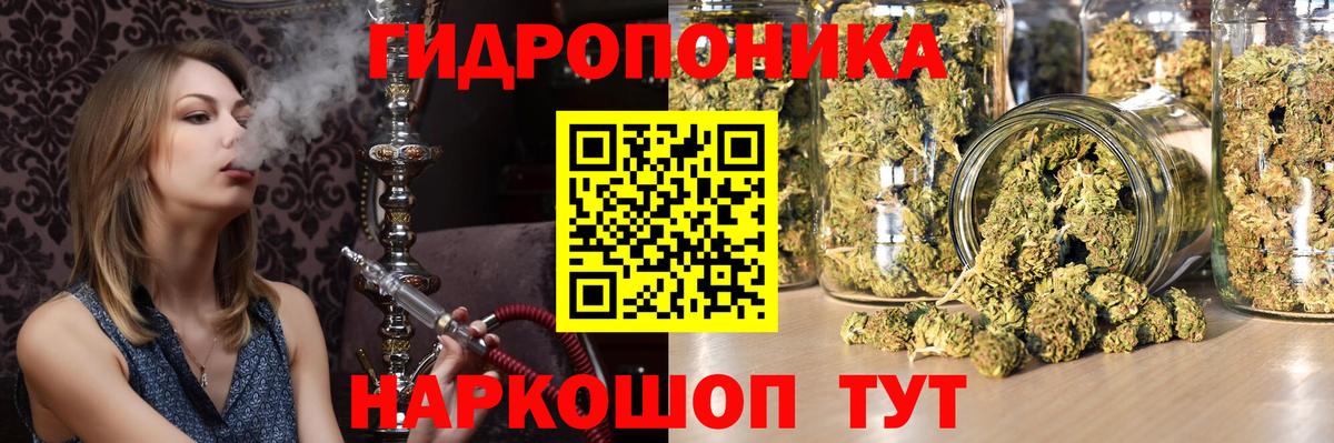 Марихуана планчик  Каннабис тримм  Марихуана Amnesia  Вход с VPN  Марихуана Ganja  Павлово 